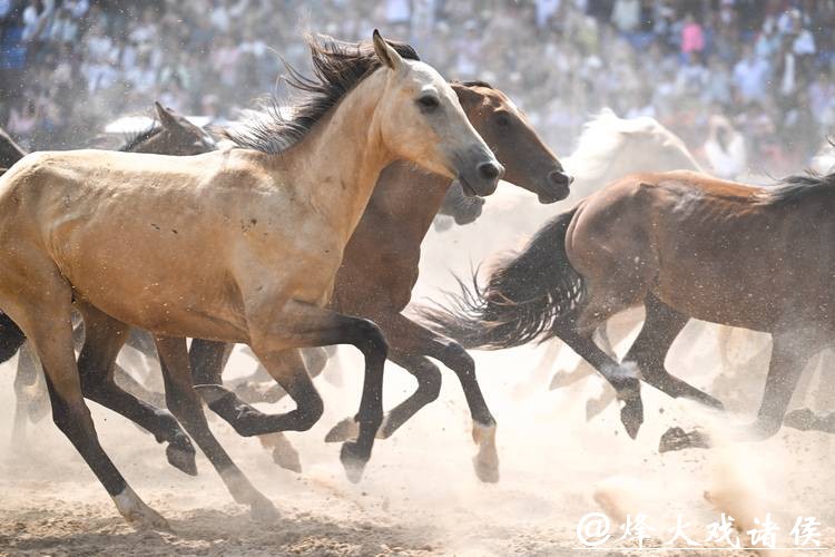 赛事活动“万马奔腾”，消费引擎轰隆隆