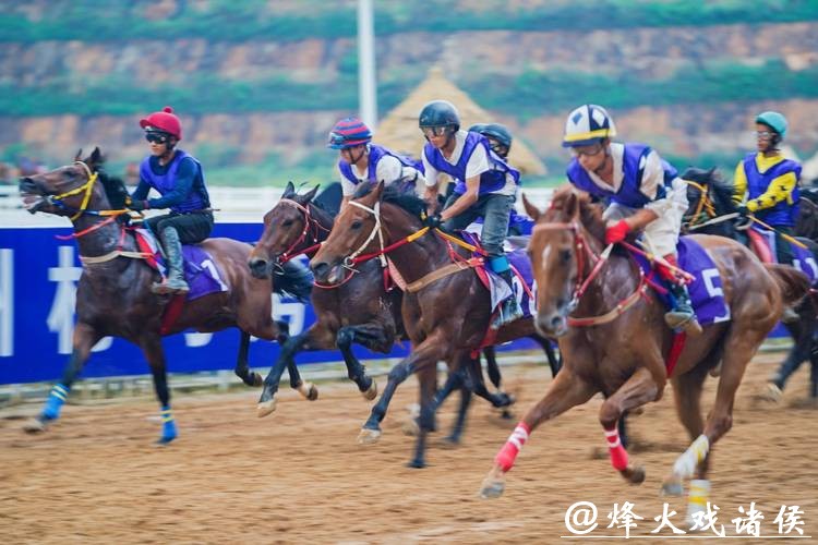 赛事活动“万马奔腾”，消费引擎轰隆隆